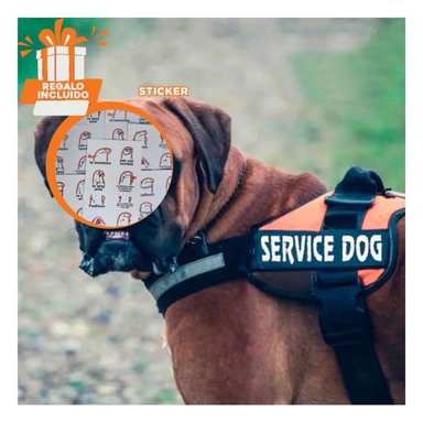 ARNÉS PERROS MA30966 RYBIU COMPACTO Y FUNCIONAL DE COLOR ANARANJADO Y+STICKERS