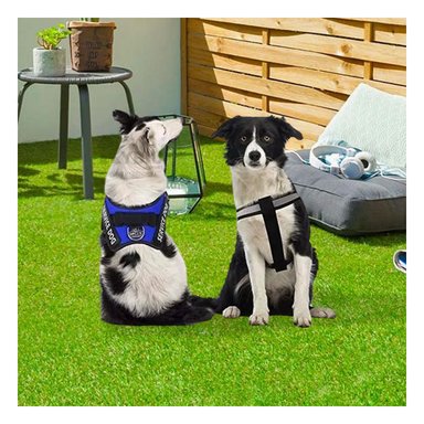 ARNES INNOVADOR Y EFICAZ DE COLOR AZUL Y+REGALO STICKERS