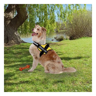 ARNÉS PERROS MA30964 RYBIU PECHERA SERVICE DOG TALLA M INNOVADOR EN AMARILLO
