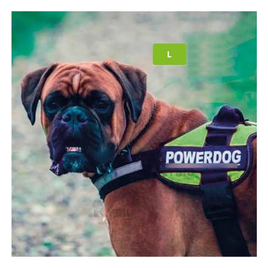 ARNÉS PERROS MA30962 RYBIU CON CORREA REGULABLE EN COLOR VERDE Y+AGENDITA