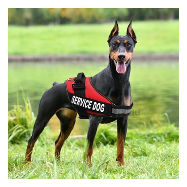 ARNÉS PERROS MA30963 RYBIU PECHERA SERVICE DOG TALLA L SEGURO EN COLOR ROJO