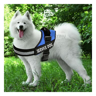 ARNES SEGURO Y MINIMALISTA EN COLOR AZUL Y+PAPEL DE REGALO