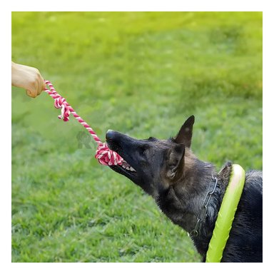 SOGA MA31346 RESISTENTE NUDO GRANDE Y NUDITO ROSADO RYBIU