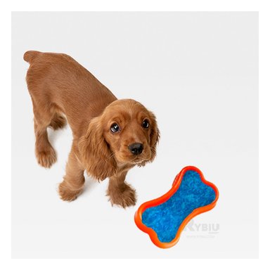 PLATO PERRO MA31319 SOFISTICADO ANARANJADO Y PAPEL REGALO RYBIU