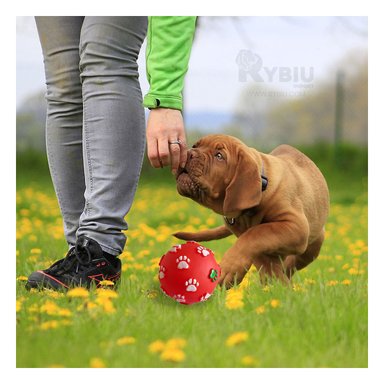 PELOTA  PERRO MA31234 ROJO +AGENDITA RYBIU