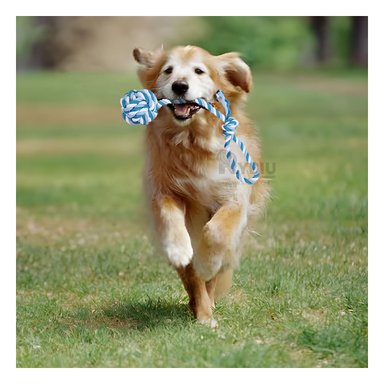 JUGUETE PERRO MA31345 NO TOXICO EXTRA FUERTE AZUL +AGENDITA RYBIU