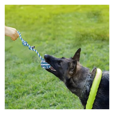 JUGUETE MICROFIBRA PERRO MA31345 AZUL +STICKERS RYBIU