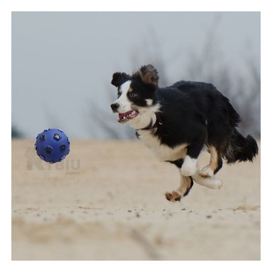 PELOTA  PERRO MA31233 MASTICABLE CON PATITAS  AZUL +PAPEL DE REGALO RYBIU