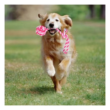 JUGUETE PERRO MA31346 LAVABLE ROSADO +PAPEL DE REGALO RYBIU