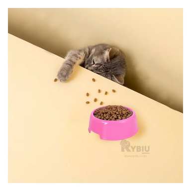 PLATO PERRO Y GATO MA31322 FORMA CIRCUNFERENCIA COLOR ROSADO Y AGENDITA RYBIU