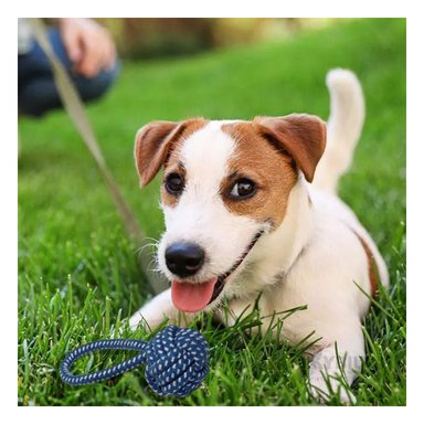 JUGUETE PERRO MA31348 LAVABLE AZUL +PAPEL DE REGALO RYBIU