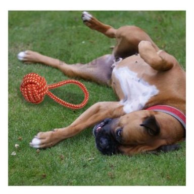 JUGUETE PERRO MA31349 NO TOXICO NARANJA +STICKERS RYBIU