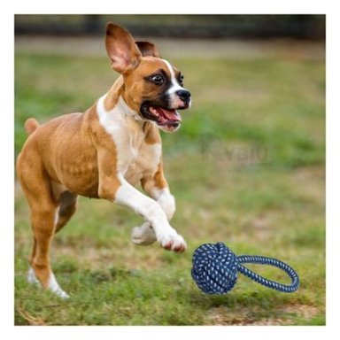 SOGA ALGODON PERRO MA31348 CON NUDO GRANDE AZUL RYBIU