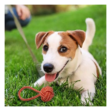 SOGA PERRO MA31349 NARANJA +AGENDITA RYBIU