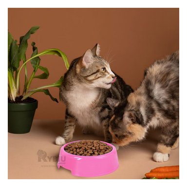 PLATO PERRO Y GATO MA31322 INNOVADOR PETS COLOR ROSADO Y STICKERS RYBIU