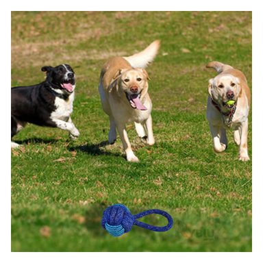 SOGA PERRO MA31347 NO TOXICO AZUL + STICKERS RYBIU