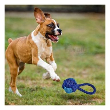 SOGA PERRO MA31347 LAVABLE  AZUL + PAPEL DE REGALO RYBIU