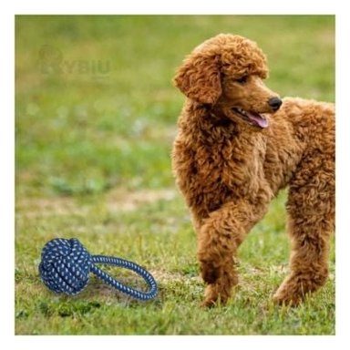 SOGA PERRO MA31348 NO TOXICO AZUL + STICKERS RYBIU