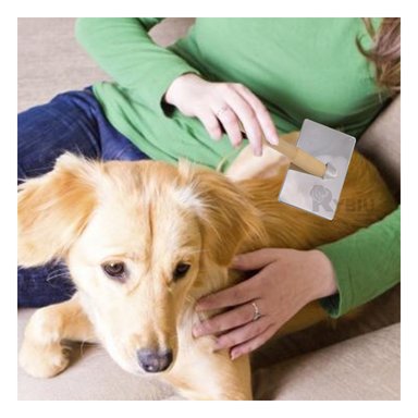 PEINE PERRO RYBIU MA31219 DE AGARRE COMODO ROJO + STICKERS