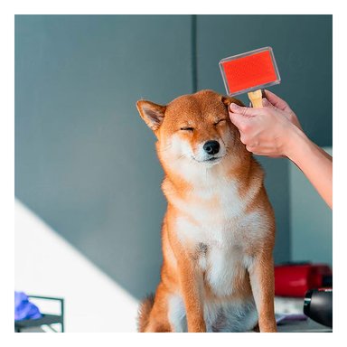 PEINE PERRO RYBIU MA31218 AGARRE COMODO TALLA DE ROJO + STICKERS