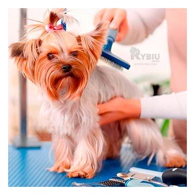 PEINE PERRO RYBIU MA31220 CON MANGO MADERA AZUL + AGENDITA