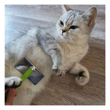 PEINE PERRO RYBIU MA31231 TA CON PUNTAS DE METAL SUAVE TALLA XL VERDE