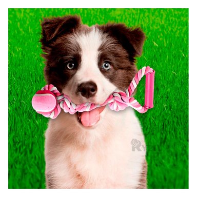 SOGA PERRO MA31369 ROSADO + AGENDITA RYBIU