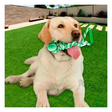 SOGA PERRO MA31370 VERDE + AGENDITA RYBIU