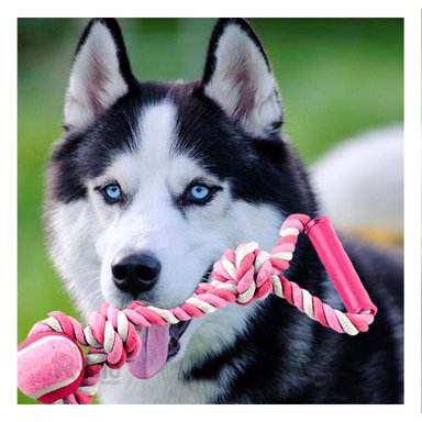 SOGA PERRO MA31369 CON PELOTA DE TENIS PET ROSADO + STICKERS RYBIU