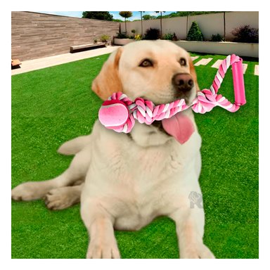 SOGA PERRO MA31369 CON AGARRADERA Y PELOTA DE TENIS ROSADO RYBIU