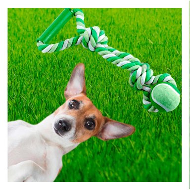 SOGA PERRO MA31370 CON PELOTA DE TENIS PET VERDE +STICKERS RYBIU