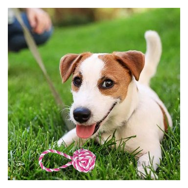 SOGA PERRO MA31351 CON NUDO GRANDE ROSADO RYBIU