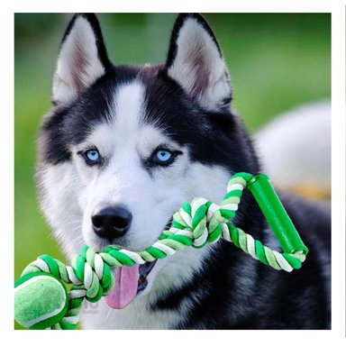 SOGA PERRO MA31370 CON AGARRADERA Y PELOTA DE TENIS VERDE RYBIU