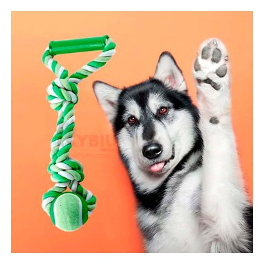 SOGA PERRO MA31370 CON AGARRE VERDE +PAPEL DE REGALO RYBIU