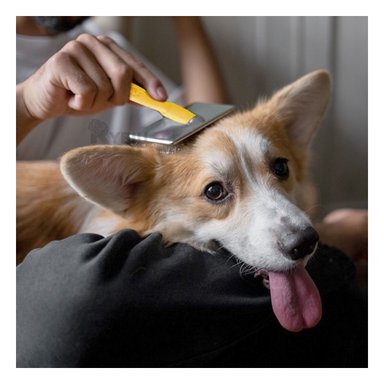 PEINE PERRO Y GATO RYBIU MA31224 CON CERDAS DE METAL AMARILLO + PAPEL DE REGALO