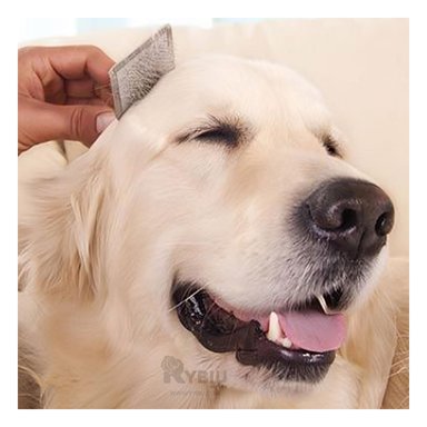 PEINE PERRO Y GATO RYBIU MA31224 TALLA M CON MANGO ANTIDESLIZANTE AMARILLO + STICKERS