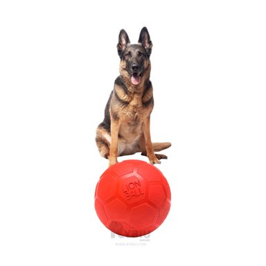 PELOTA  PERRO Y GATO MA31256 L DE COLOR ROJO +STICKERS RYBIU