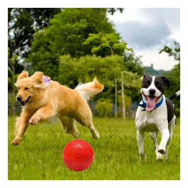 PELOTA  PERRO Y GATO MA31256 TALLA L  ROJO +PAPEL DE REGALO RYBIU