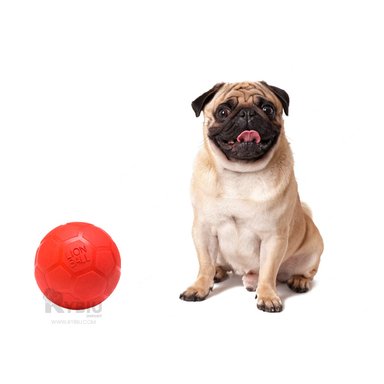 PELOTA  PERRO Y GATO MA31257 TALLA M ROJO +STICKERS RYBIU