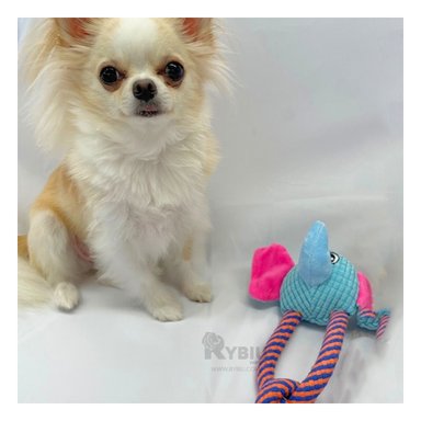 PELUCHE FELPA PERROS Y GATOS MA31260 RYBIU DIDACTICO Y MODERNO EN MODELO ELEFANTE +STICKERS