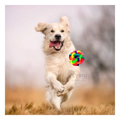 PELOTA  PERRO Y GATO MA31259 MULTICOLOR +STICKERS RYBIU