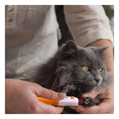 LIMADOR PERRO Y GATO RYBIU MA31170 ERGONOMICO Y UTIL DE NARANJA + STICKERS - 2
