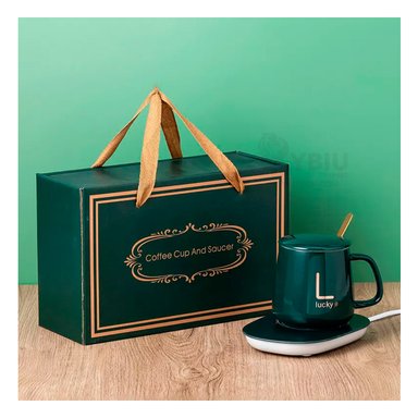 CALENTADOR ESTILIZADO A CORRIENTE RYBIU CO30462 EN VERDE+ REGALO STICKERS