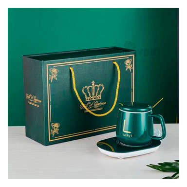 CALENTADOR PRACTICO PARA EL HOGAR RYBIU CO30462 EN VERDE+ REGALO AGENDITA - 2