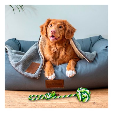 JUGUETE CUERDA ALGODÓN PERROS MA29946 RYBIU RESISTENTE TONO VERDE +PAPEL DE REGALO