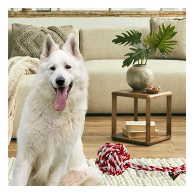 SOGA ALGODÓN PERRO MA29945 CON PELOTA RYBIU