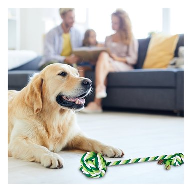 SOGA ALGODÓN PERRO MA29946 CON PELOTA Y SOGA VERDE RYBIU