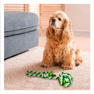 JUGUETE ALGODÓN PERROS MA29946 RYBIU RESISTENTE COLOR VERDE +AGENDITA