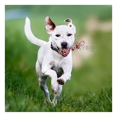 JUGUETE ALGODÓN PERROS MA29945 RYBIU RESISTENTE ROSADO Y ROJO +AGENDITA