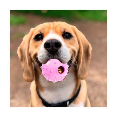 PELOTA  PERRO Y GATO MA31253 CON PUNTOS ROSADO RYBIU